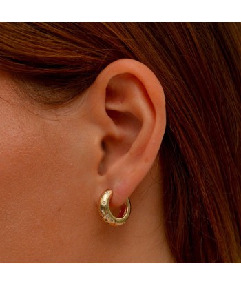 Boucles d'Oreilles Stardust - Créoles Plaqué Or 18K et Zirconium - 1,3 cm Faites des économies