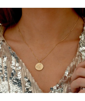 Collier Capricorne - Signe Astro - Constellation - Plaqué Or 18K Zirconium Les êtres humains sont 